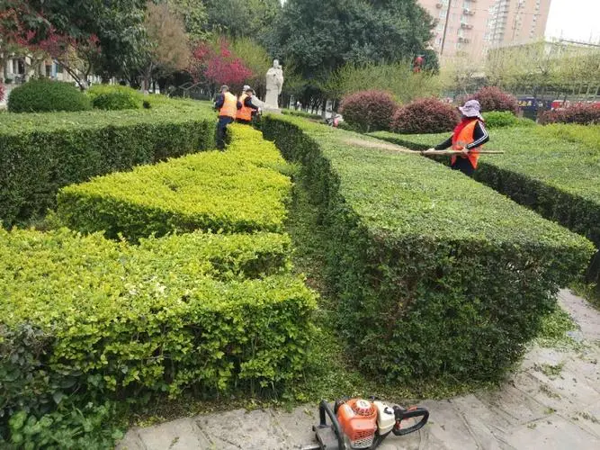 新建猪场绿化工程方案设计