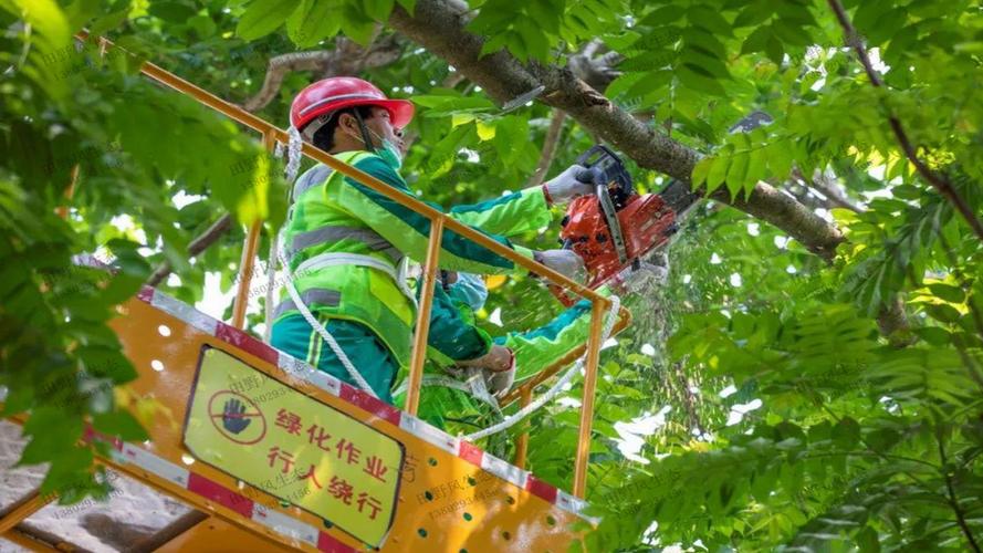 无锡市城市绿化管理条例实施细则